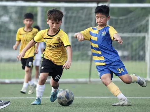 Thể Công Viettel tìm tài năng nhí thay lứa đàn anh Hoàng Đức, Bùi Tiến Dũng