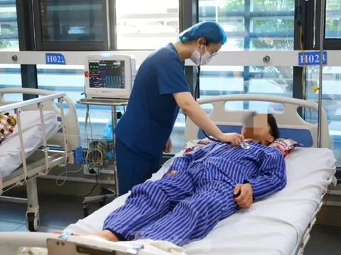 Cứu sống 4 người bị ngộ độc do ăn nấm hái trên rừng