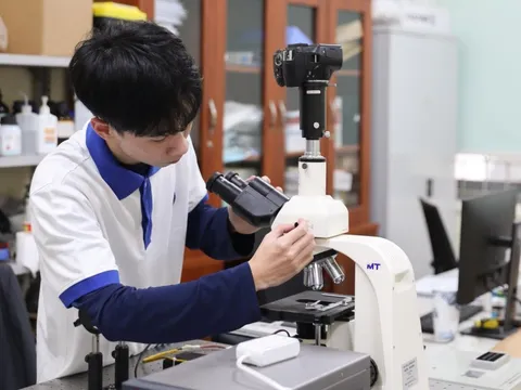 Góc khuất học sinh nghiên cứu khoa học: Trả lại giá trị thật cho cuộc thi