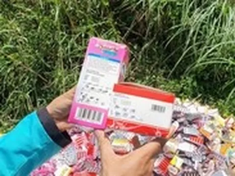 Phải làm cho ra lẽ vụ hàng ngàn hộp thực phẩm chức năng đổ đống ở vùng ven TP.HCM như 'đổ rác'