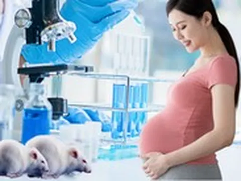 Mẹ thiếu sắt khi mang thai có thể khiến giới tính con bị thay đổi