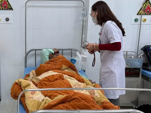 Hàng chục trường hợp ngộ độc nấm rừng tại Lâm Đồng