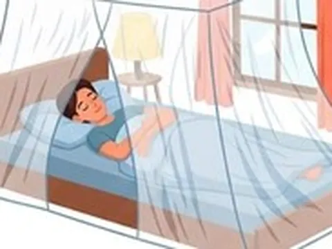 3 lớp chặn sốt xuất huyết