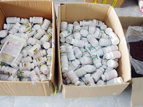 Giả danh Đông y, trục lợi người bệnh