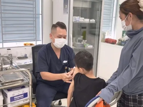 Bệnh dại rình rập sau vết cắn từ vật nuôi đã tiêm phòng