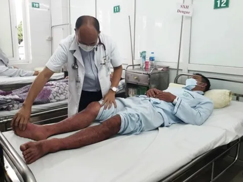 Sốt xuất huyết Dengue: Nguy kịch vì chủ quan