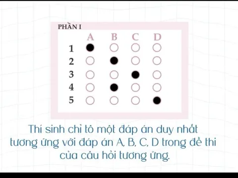 Bộ GD&ĐT hướng dẫn trả lời trắc nghiệm, tránh lỗi sai mất điểm thi tốt nghiệp THPT