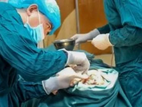 Mặt hoại tử, có giòi vì tự đổ thuốc diệt cỏ ‘khử trùng’ vết thương