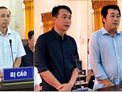 Cấp đất sai quy định, 3 cán bộ Phú Quốc lĩnh án tù