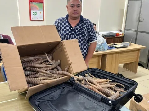 Buôn bán sừng linh dương, hai người bị phạt hơn 4 năm tù