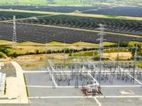 Quên ra quyết định thu 73 tỉ tiền thuế, cựu cục phó Cục Thuế Ninh Thuận bị khởi tố