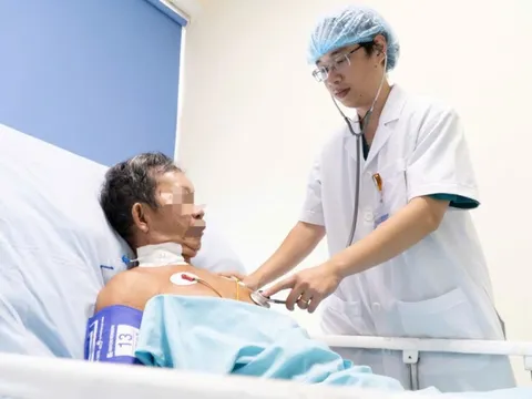 Người đàn ông sốc phản vệ nguy kịch vì bị đàn ong vò vẽ đốt