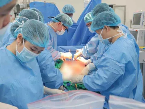 Sự sống tiếp nối từ mất mát: Hồi sinh kì diệu giữa đêm trắng