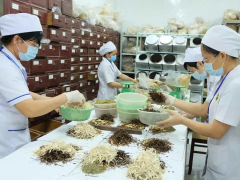 Hướng dẫn thanh toán BHYT đối với thuốc y học cổ truyền