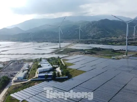 Cựu cục phó cục thuế bị khởi tố vì không truy thu 73 tỷ đồng của 2 doanh nghiệp điện mặt trời