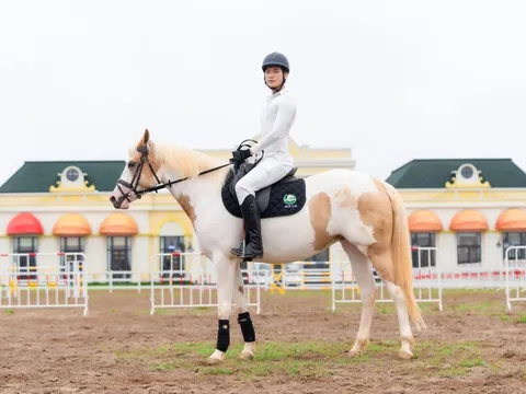 Sắp diễn ra giải cưỡi ngựa chuyên nghiệp đầu tiên tại Việt Nam – Vinpearl Equestrian Cup 2025