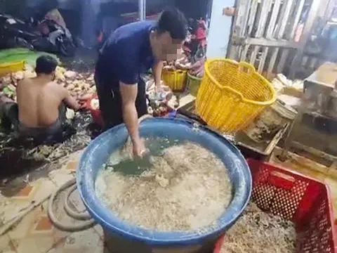 Phát hiện 3 cơ sở ở TPHCM dùng hóa chất để tẩy trắng bắp chuối