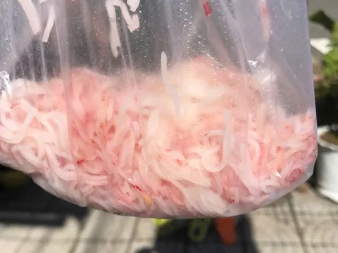 Đà Nẵng xác minh nghi vấn bún trắng mua ở chợ hóa đỏ sau một đêm