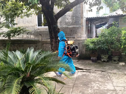 Huế: Ghi nhận 12 ca mắc liên cầu lợn trong gần hai tuần, một người tử vong