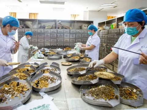 Quy định về đăng ký lưu hành thuốc cổ truyền, dược liệu