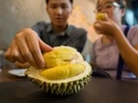 Vô lý tin đồn uống rượu với sầu riêng gây chết người