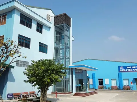 Từ cơn đau thoát vị đến hành trình sáng chế dung dịch xoa bóp thảo dược