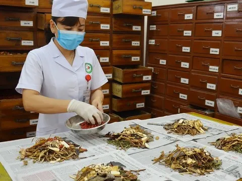 Vị thuốc cổ truyền phải công bố tiêu chuẩn chất lượng trước khi lưu hành