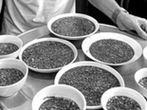 Hưng Yên: 17 người ăn tiết canh, lòng lợn, 2 người đã tử vong