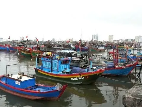 Quảng Trị cứu 7 ngư dân bị chìm tàu, chủ động ứng phó cơn bão số 3