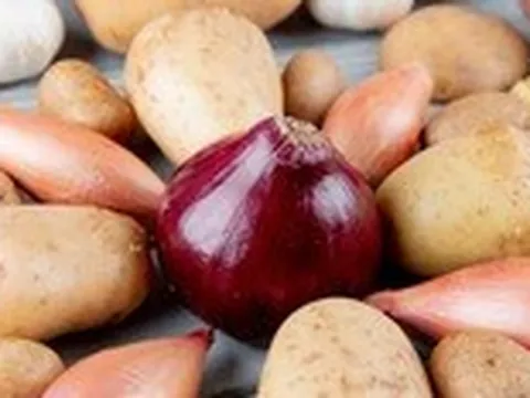 Bảo quản hành và khoai tây cùng nhau không gây nguy hiểm chết người