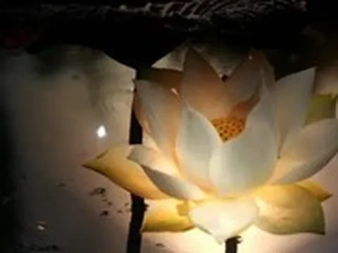 Bác sĩ, thầy thuốc ưu tú Nguyễn Kim Thu qua đời