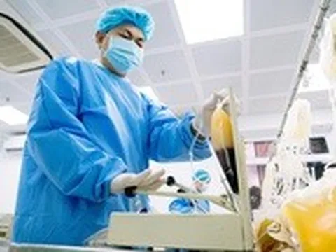 Hành trình giọt máu vàng cứu người ở Bệnh viện Chợ Rẫy