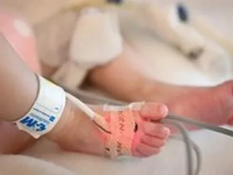 Tìm ra 2 cách mới giúp 'hồi sức' tim bên ngoài cơ thể