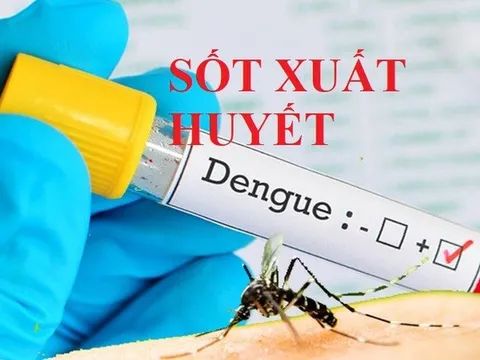 Thủ tướng yêu cầu tăng cường phòng, chống bệnh sốt xuất huyết
