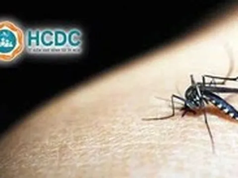 TP.HCM cảnh báo tăng ca mắc sốt xuất huyết bệnh nặng, đã có 10 ca tử vong