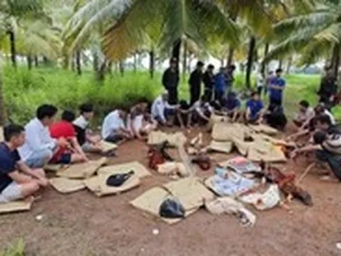 Đá gà sát phạt trên 1,6 tỉ đồng, 8 người bị tạm giữ