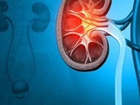 5 dấu hiệu cho thấy sức khỏe thận đang tốt