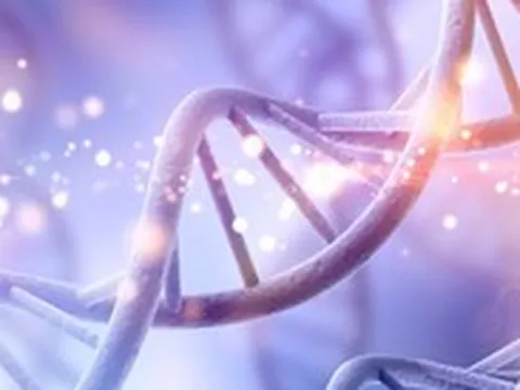 Phát hiện mã di truyền bí mật trong ADN người