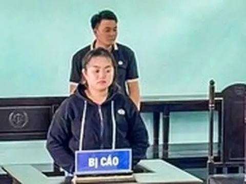 Bảo mẫu đánh túi bụi bé gái ở Đồng Tháp bị phạt 1 năm tù cho hưởng án treo