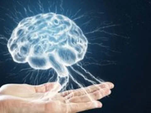 Đột phá: Nuôi cấy thành công não người thu nhỏ