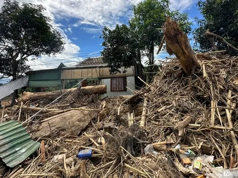 2 tuần sau trận lũ lịch sử, người dân bất lực nhìn bãi rác khổng lồ án ngữ trước nhà