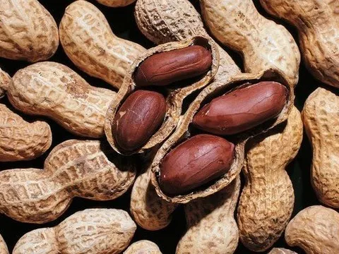 Bạn có biết những món ăn tốt cho sức khỏe tim mạch?