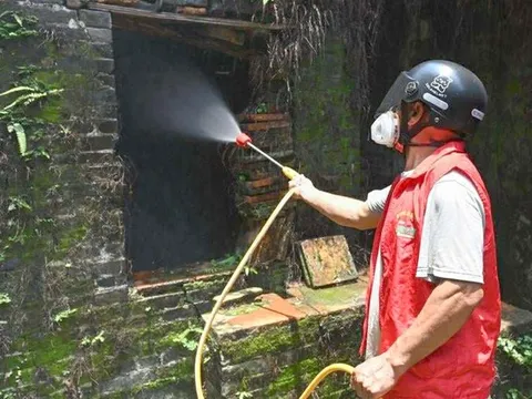 Việt Nam ứng phó với nguy cơ bệnh Chikungunya