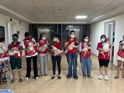 Đường dây mang thai hộ quy mô lớn do một người Trung Quốc cầm đầu