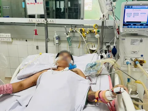 'Cơn bão cytokin' đe dọa tính mạng người trẻ khỏe khi mắc sốt xuất huyết