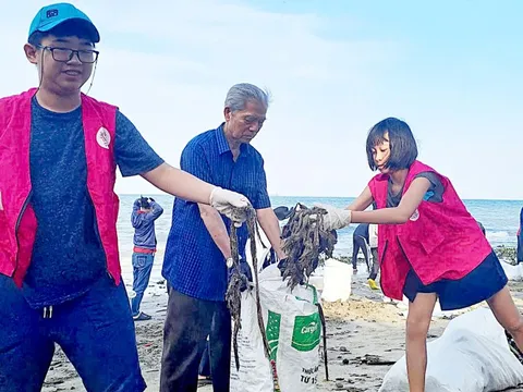 Tại sao phải nhặt rác?