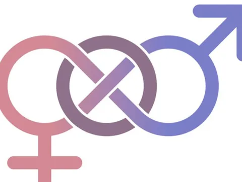 Liên giới tính là gì, khác đồng tính và chuyển giới thế nào?