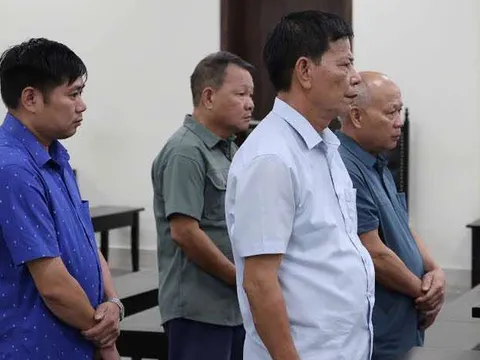 Nhóm lãnh đạo xã lãnh án vì ký 114 hồ sơ khống bán 44ha đất rừng phòng hộ