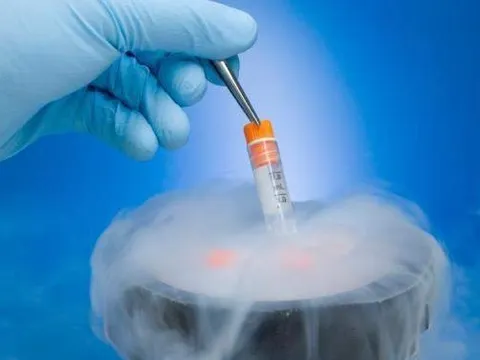Quy định tiêu chuẩn sức khỏe của người nhận tinh trùng, noãn, phôi