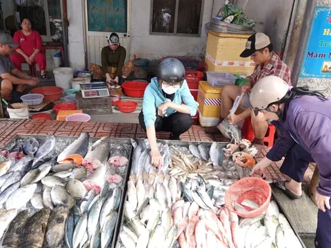 Hiểu sai vitamin B12 có thể gây ung thư nên 'trốn tránh' mặc kệ suy kiệt